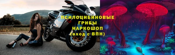 герыч Алексин